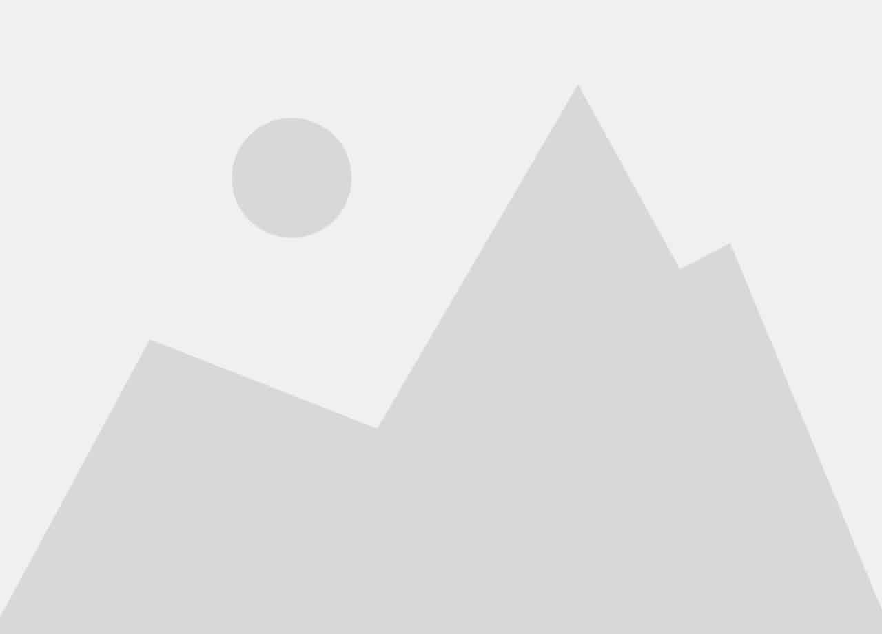 Interactive map will load automatically in a few moments